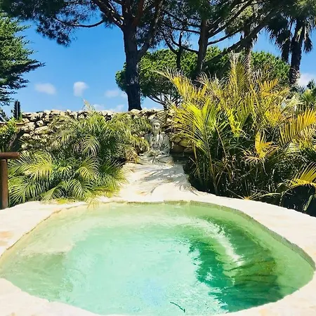Hébergement de vacances House Near Conil With A Tropical Garden And Pool