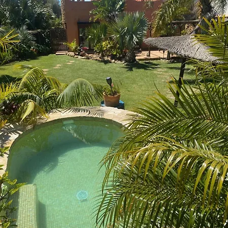 House Near Conil With A Tropical Garden And Pool