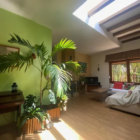 Holiday home House Near Conil With A Tropical Garden And Pool