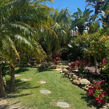 Holiday home House Near Conil With A Tropical Garden And Pool *