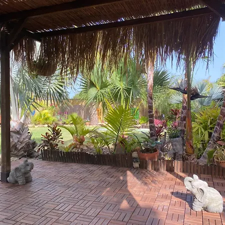 Hébergement de vacances House Near Conil With A Tropical Garden And Pool